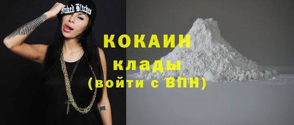 стафф Аркадак